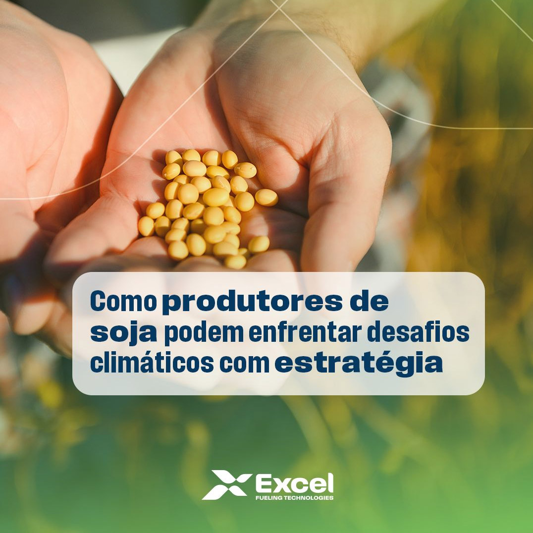 Como produtores de soja podem enfrentar desafios climáticos com estratégia